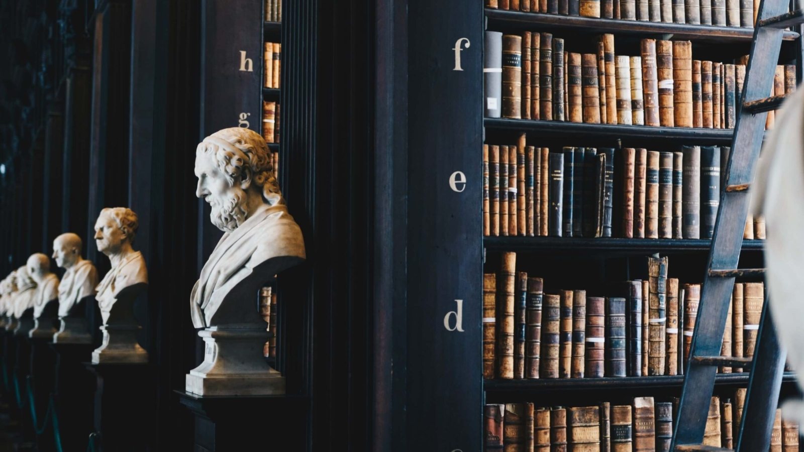 Why getting a consultant is the best decision